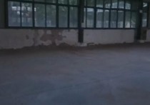 成都彭州致89号达斐丽厂房 12000㎡整租分租厂房出租独门独院单层 - 园区产业招商网