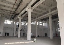 广州厂房出租：南沙带红本单一层，米高 全新厂房 一手业主，区位优势明显
