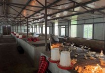 昆明富民其他拖卓养殖基地110亩可养殖鸡80㎡标准厂房单层大车进出厂房出租（），配套完善