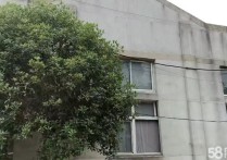 武汉7旁厂房 孝感市汉川市博发化纤纺织厂蔡甸蔡甸10000平厂房出租单层出行便利 - 园区产业招商网