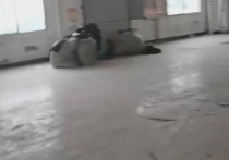 泉州鲤城其他工厂 1500到2000㎡标准厂房多层大车进出厂房出租（），配套完善