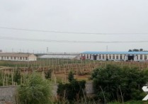大连金州华家屯华家450㎡独门独院层高5米厂房出售（），首层5米层高