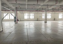 广州厂房出租：黄埔科学城旁左右直租一楼红本厂房办公，区位优势明显