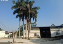 南宁隆安经济管理区侨友路59号济开发区侨友路商机无限经59号160㎡独门独院单层大车进出厂房出租（开