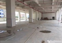 深圳龙华新区观澜塘厦的房东全新每层多层大车进出厂房出租（新区），配套完善