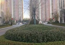 面积300-5000平可分割3000平厂房出售单层 - 园区产业招商网 | 青岛城阳制造厂房出租