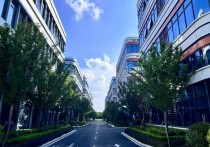 上海松江华滨联东U谷厂房出租 104地块可环评 汽车零部件医疗器械 首层7.2米(13)