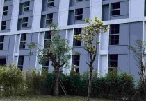 海口其他澄迈老城独立产权蒸汽燃气污水处理齐全80㎡独栋全新可分租厂房出售（），可办独立产证