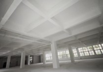 合肥1380平框架一楼4个大门 4.6米挑高适合轻工电子仓储行业合厂房出租单层 - 园区产业招商网