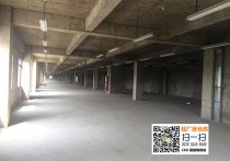 G1260 崇明城区附近 50亩,200亩 新建15.38万平厂房仓库出租出售