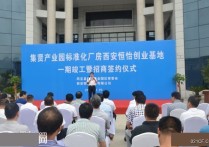西安周至市周至县集贤产业园振兴路1号高新区集贤园恒怡创业园(三)2350㎡单层多层全新厂房出租（高新