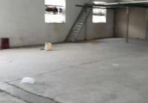 380 | 吴泾单层厂区无公摊150，260，450，600，仓库招租 | 工业地产平台