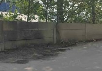 青岛个人 11米标准车间 带2部10吨行车 可分2827平厂房出租单层可分租 - 园区产业招商网