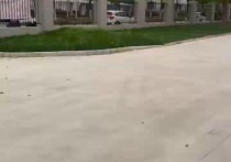 高规格设计重工厂房洪山光谷23128平厂房出租独栋单层 - 园区产业招商网 | 武汉本基地全新钢结构