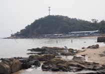 淇澳岛-珠海高新区产业载体推介-厂房土地租售选址
